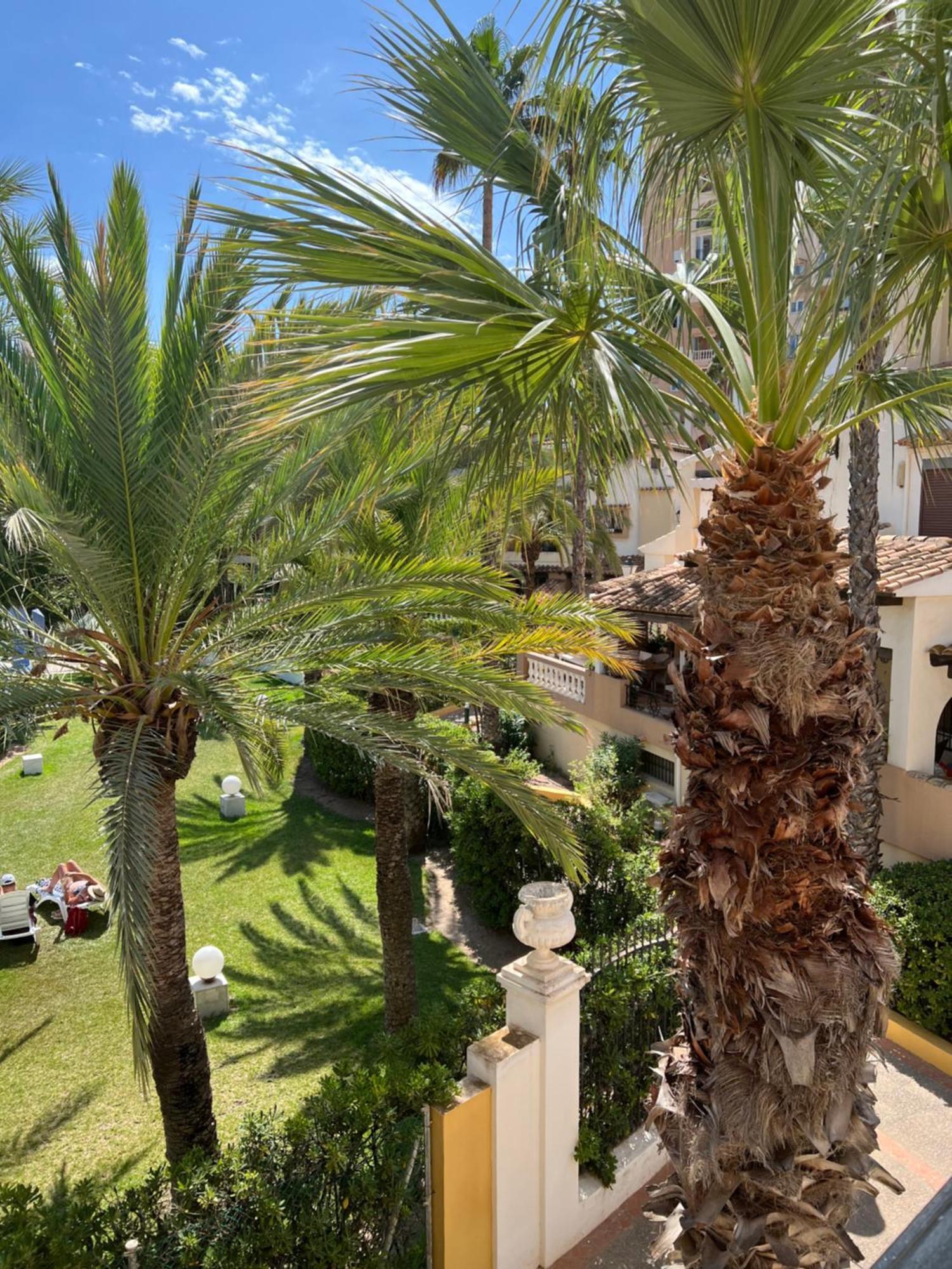 Apartamento Casa Al Mare Aldea Torrevieja Exterior foto